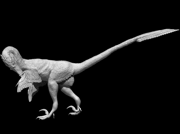 1:12 Scale Velociraptor  (Preening) in White Natural Versatile Plastic