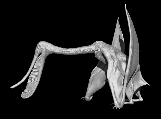 Pterodaustro (1:4 scale model)