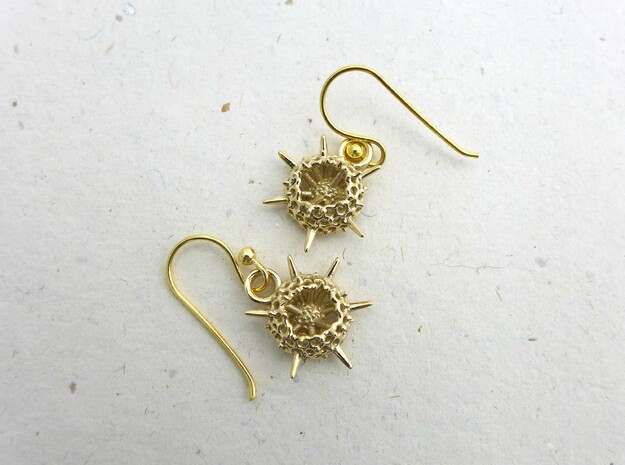 Spumellaria Earrings - Science Jewelry in Polished Brass