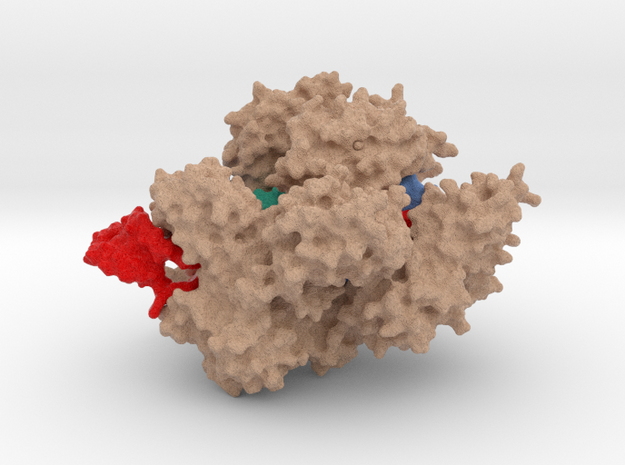 Cas9 bound to PAM-containing DNA target in Full Color Sandstone