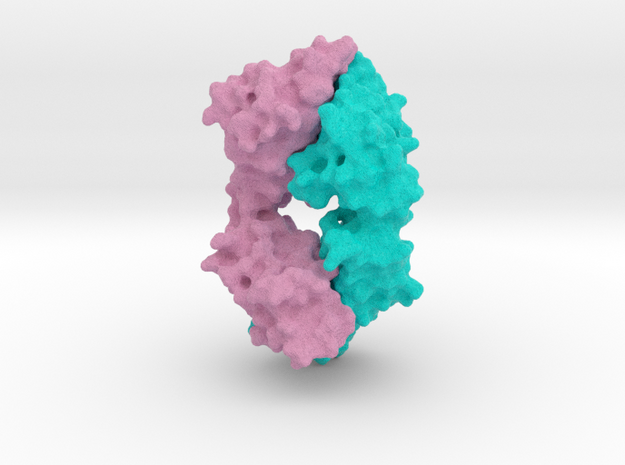 Antibody Fab Fragment in Full Color Sandstone