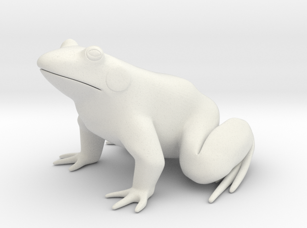 Frog, for acrylic plastic in White Natural Versatile Plastic