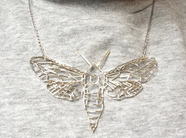The Spurge Hawk-moth  in Polished Silver
