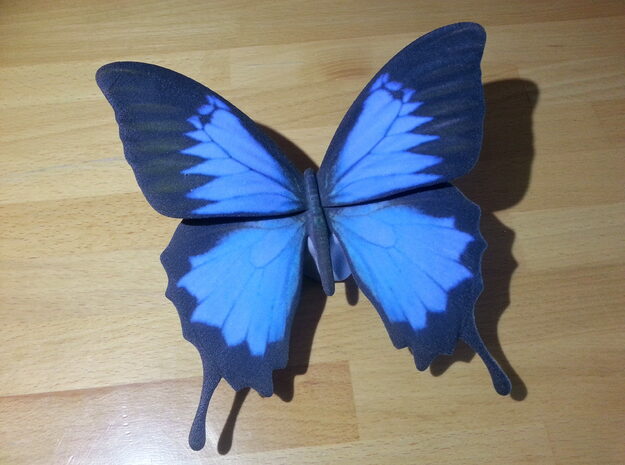 Blue Butterfly in Full Color Sandstone