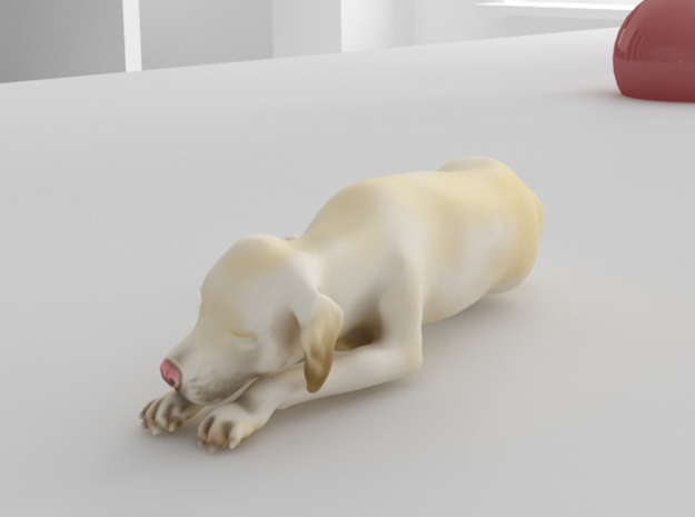 Sleeping Dog - Labrador Small in Full Color Sandstone