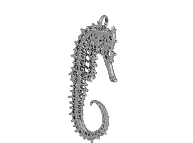 Seahorse Skeleton in Natural Silver