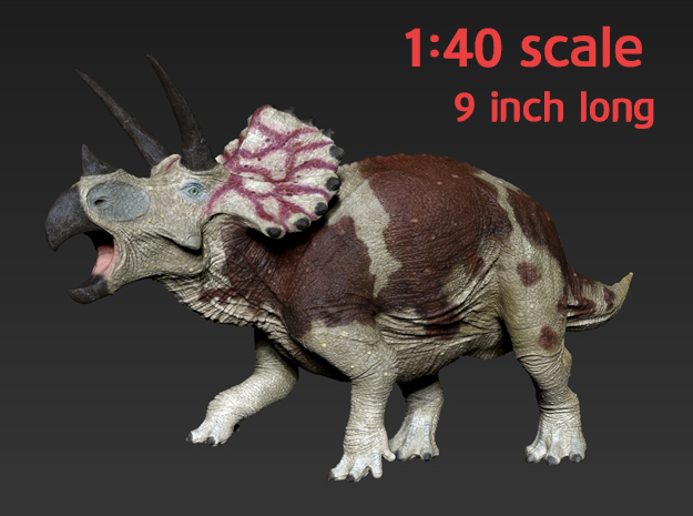 Triceratops for stevedexter in White Natural Versatile Plastic