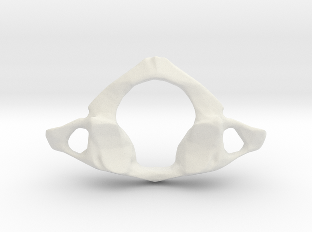 First Cervical Neck Vertebra - Atlas in White Natural Versatile Plastic