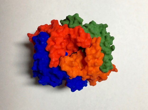 You will need 4 protein chains to assemble into a  in Orange Processed Versatile Plastic