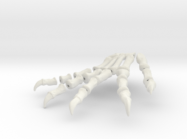 Komodo Left Foot Front 1:5 Scale in White Natural Versatile Plastic