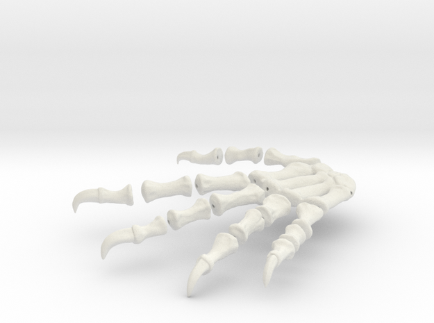 Komodo Rigth Foot Back 1:5 Scale in White Natural Versatile Plastic