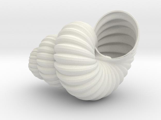 Sea  Shell in White Natural Versatile Plastic