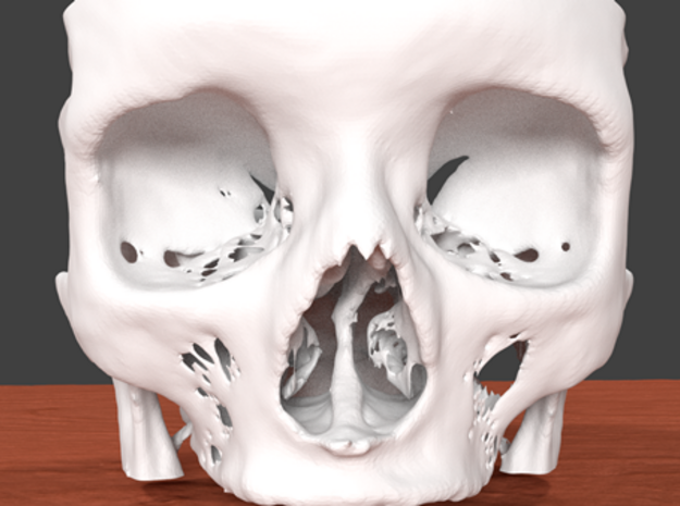 Skull Base from Real CT Scan Data, Full Size in Natural Sandstone