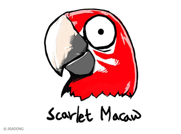 Breedingkit Scarlet Macaw in Full Color Sandstone