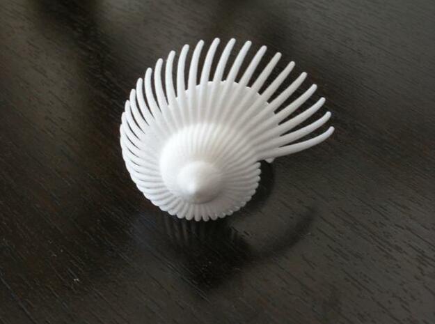 Fractal Conch -2 in White Natural Versatile Plastic