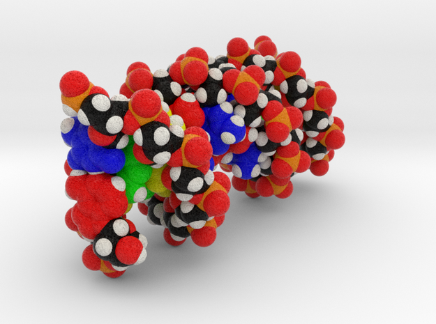 DNA in Full Color Sandstone: Small