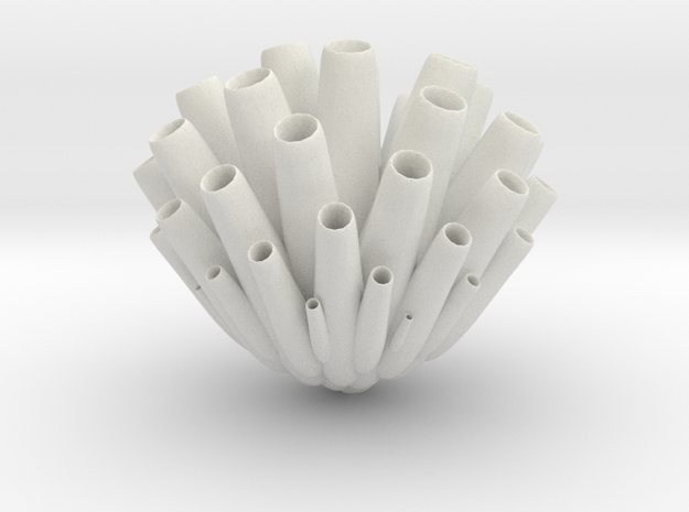 Sea Sponge (Porifera) "pore bearer" in White Natural Versatile Plastic: 1:32