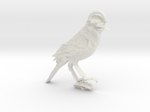 Bird in White Natural Versatile Plastic