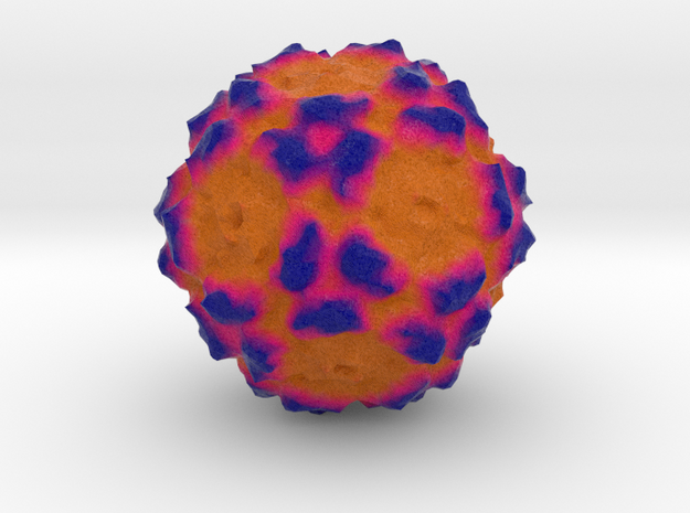 Human Bocavirus 1 in Full Color Sandstone
