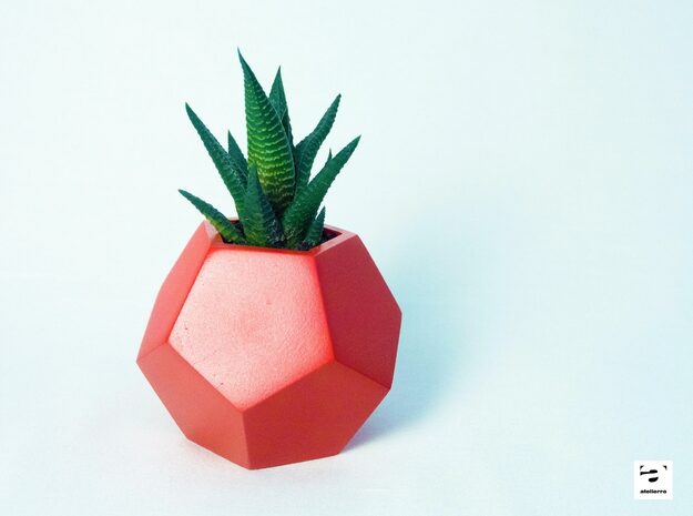 Dodecaedru - planter for succulents and cactuses in Black Natural Versatile Plastic: Small