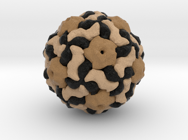 Ljungan Virus in Full Color Sandstone