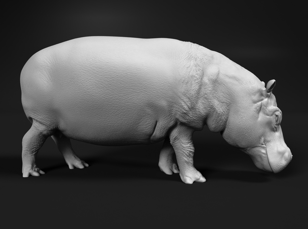 Hippopotamus 1:6 Walking Female in White Natural Versatile Plastic