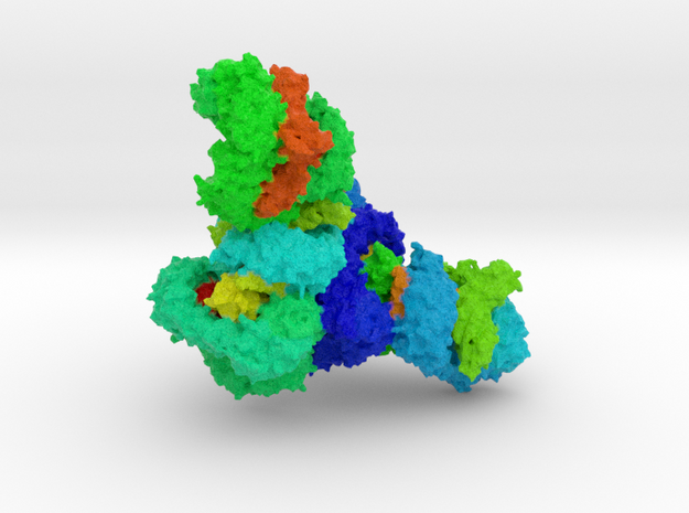 Adaptor Protein in Full Color Sandstone