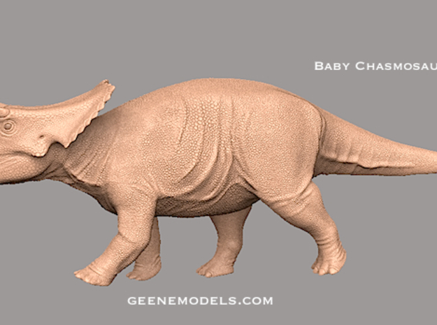Dinosaur Baby Chasmosaurus in White Natural Versatile Plastic