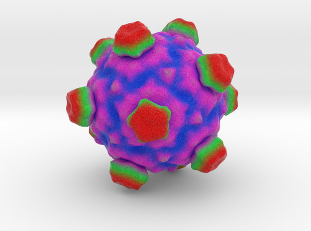ΦX174 Bacteriophage in Full Color Sandstone