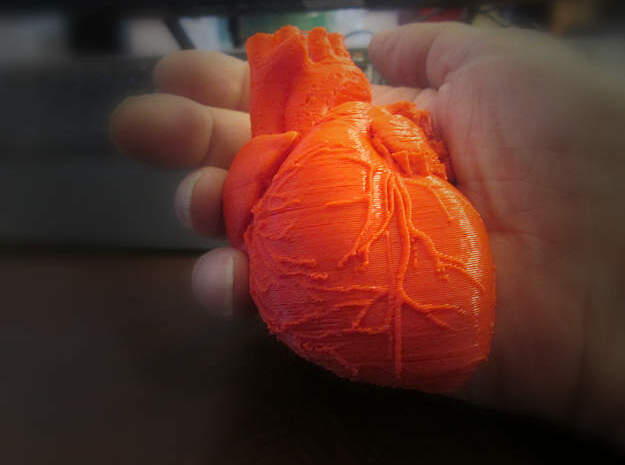 Heart Anatomical 90mm (scale is 1:1) in Red Processed Versatile Plastic
