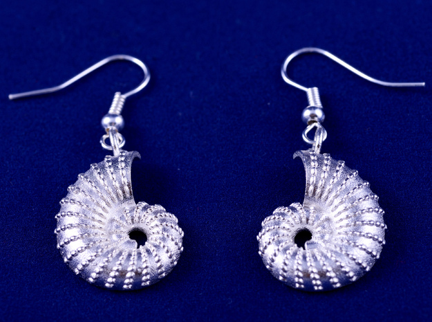 Nautilus Shell Earrings in Natural Silver