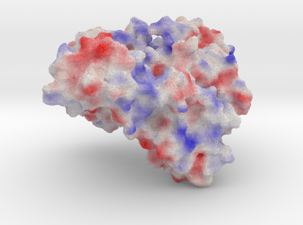Proline tRNA Ligase in Full Color Sandstone
