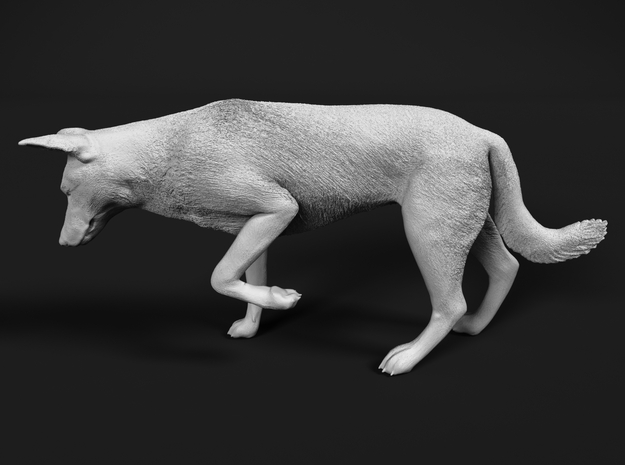 Saarloos Wolfdog 1:16 Female stalks small prey in White Natural Versatile Plastic