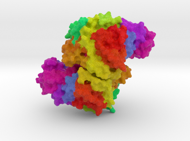 Citrate Synthase  in Full Color Sandstone