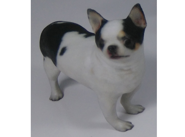 Scanned Chihuahua Dog -890 in Full Color Sandstone