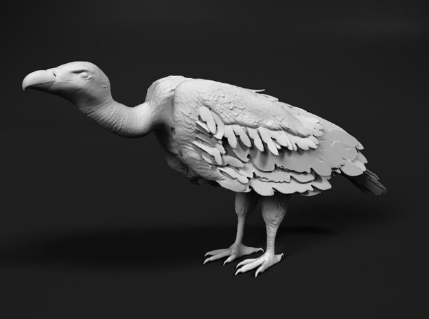 White-Backed Vulture 1:25 Standing 1 in Tan Fine Detail Plastic