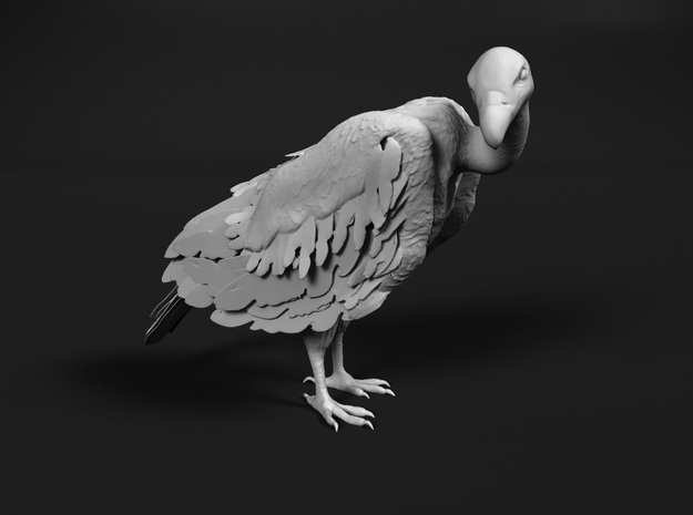 White-Backed Vulture 1:9 Standing 2 in White Natural Versatile Plastic