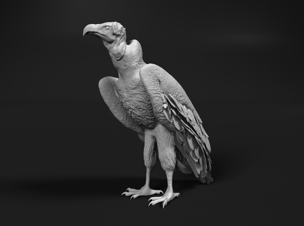 Lappet-Faced Vulture 1:25 Standing in Tan Fine Detail Plastic