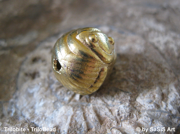 Trilo Bead Trilobite  in Polished Brass