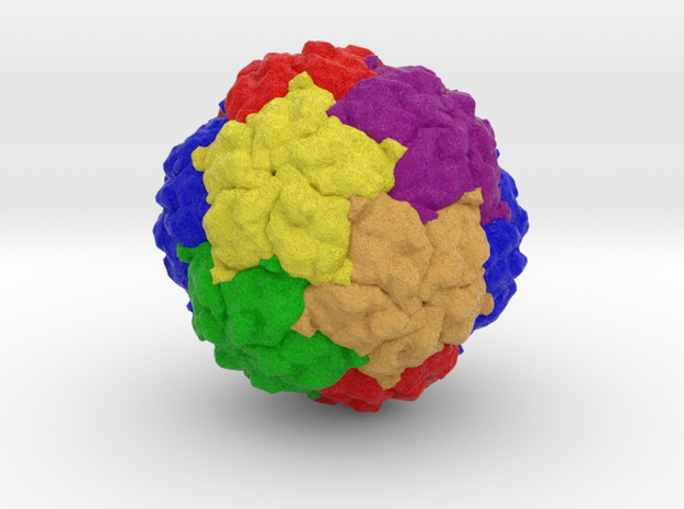 Penicillium chrysogenum Virus in Full Color Sandstone