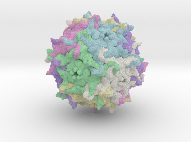 Adeno-Associated Virus 6 in Full Color Sandstone