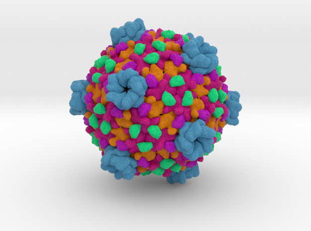 Cytoplasmic Polyhedrosis Virus in Full Color Sandstone