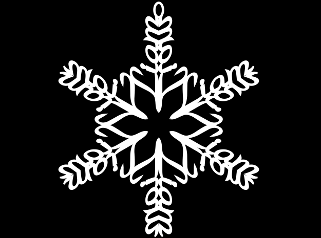 Liam snowflake ornament in White Natural Versatile Plastic