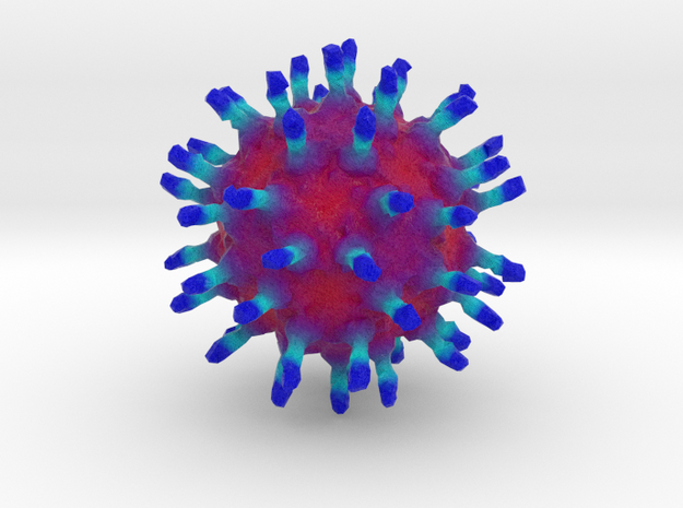 Bacillus Phage Φ29 in Full Color Sandstone