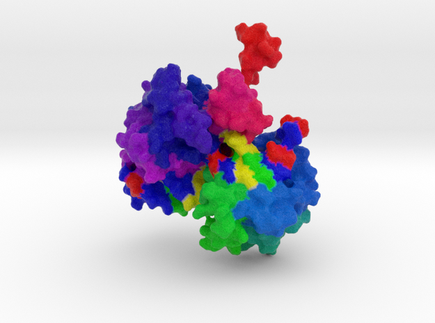 Cre-Lox bound to DNA in Full Color Sandstone
