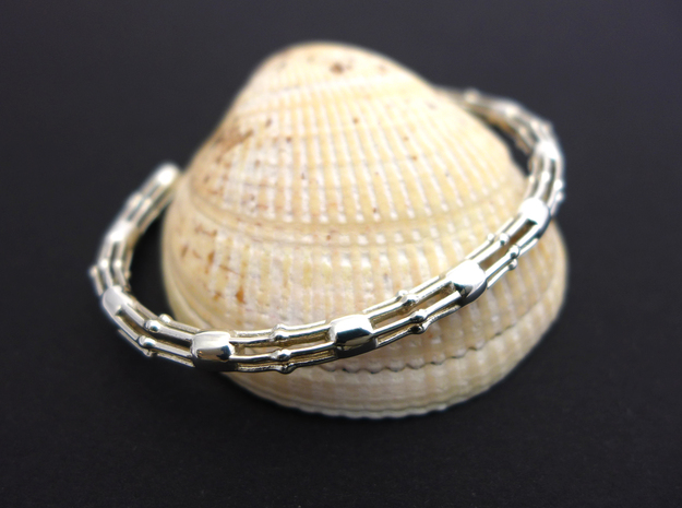 Skeletonema Diatom Bracelet  in Polished Silver: Medium