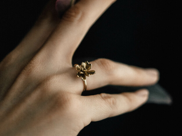 Succulent Stacking Ring No. 3 in Natural Brass: 8 / 56.75