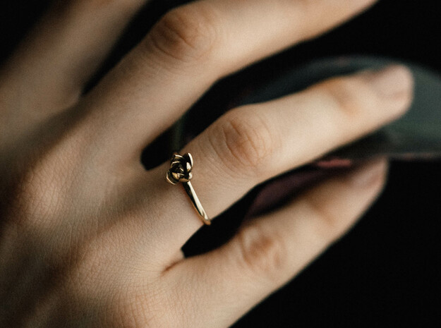 Succulent Stacking Ring No. 1 in Polished Brass: 6 / 51.5