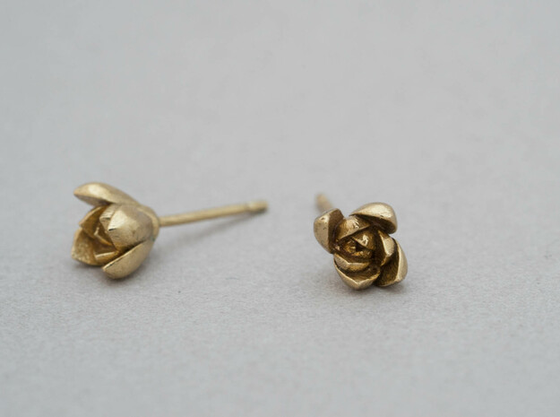 Succulent No. 1 Stud Earrings in Polished Brass