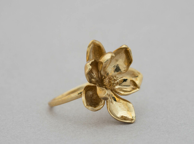Magnolia Ring in Polished Brass: 5 / 49